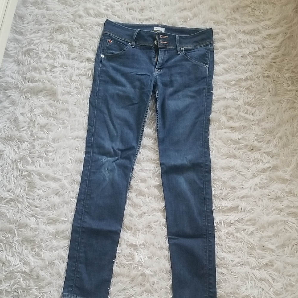Hudson Jeans Blue Skinny Denim